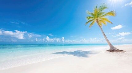 Lone Palm Tree Ocean View Idyllic Beach Scene High Definition Bright Sunlight Landscape Wide Shot Tropical Paradise Relaxation Sunny Seascape Vibrant Blues Travel Promotion