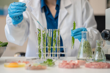 Nutrition Specialists and medicine, Molecular Analysis in Food Science Labs of chemical residues.