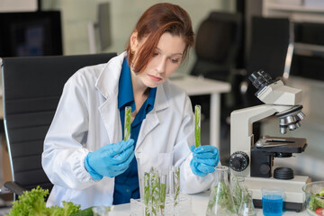 Nutrition Specialists and medicine, Molecular Analysis in Food Science Labs of chemical residues.