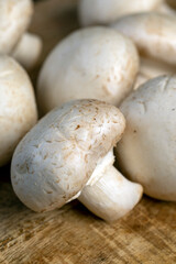 edible champignons unpeeled from the ground, preparation of the harvested mushroom champignons for cooking, closeup