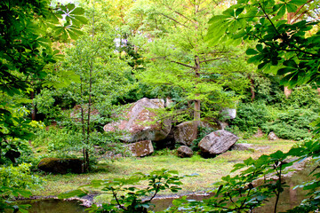 Scenic forest landscape with boulders and stream &ndash; lush green summer nature