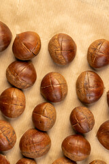 preparation by cutting the shells of edible chestnut nuts for baking, close up