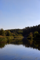 trees and plants are reflected in the river water during the summer, trees are reflected in the lake