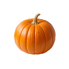Obraz premium A whole pumpkin, round and orange,
