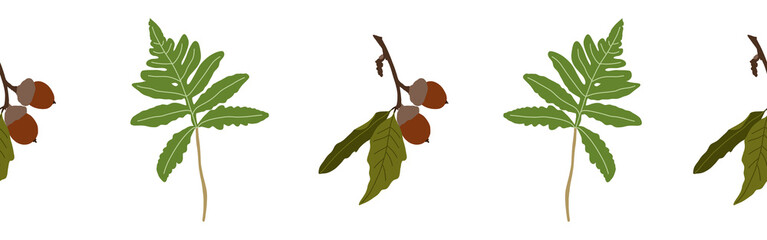 Border leaves and nuts on a white background. Hand-drawn illustration. Perfect for spring and summer.