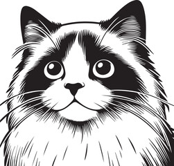 Black and White Ragdoll Cat Vector