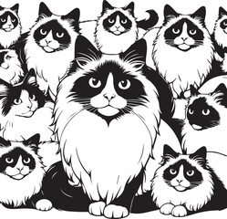 Black and White Ragdoll Cat Vector