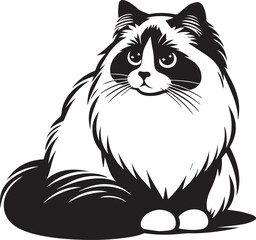 Black and White Ragdoll Cat Vector