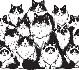 Black and White Ragdoll Cat Vector