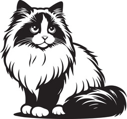 Black and White Ragdoll Cat Vector