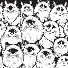 Black and White Ragdoll Cat Vector