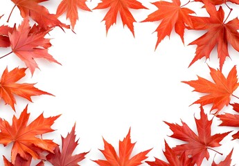 Fototapeta premium Autumnal maple leaves frame