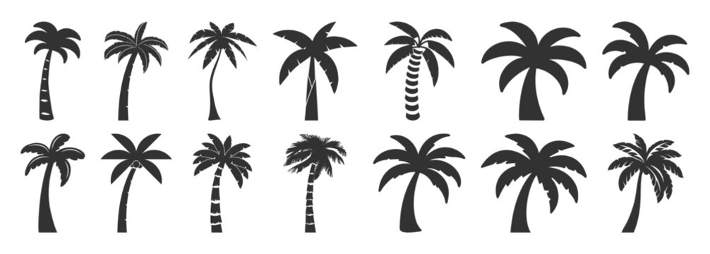 Palm tree summer logo, coconut tree icon. Palm tree silhouette icon. Miami beach tropic coconut tree. Summer hawaii palm tree icon set.