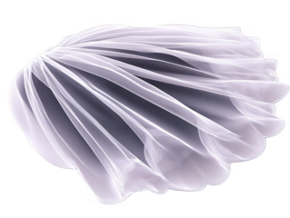 Abstract 3D White Shape With Transparent Background Design Isolated