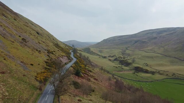 aerial footage of yellow gorse blooming in the scottish highlands