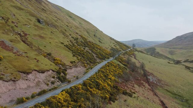 aerial footage of yellow gorse blooming in the scottish highlands