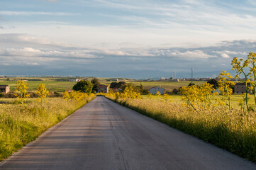 Panorama. Paesaggio di strada che si perde all'infinito in zona rurale tra verdi campi verso...