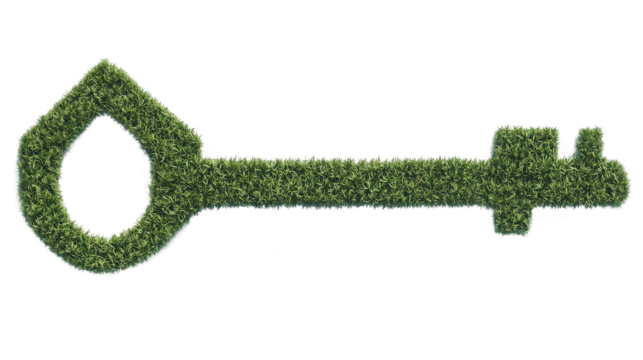 Abstract Green Key Shape Isolated On Transparent Background Illustration