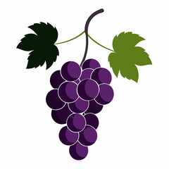 Obraz premium Crisp grapes vector illustration on a white background. Perfect for health and lifestyle branding.