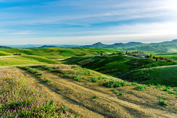beautiful spring colorful flowering meadow with bright green hills of farm grassland and rustic path road leading far away to countyside valley and vivid sky of landscape
