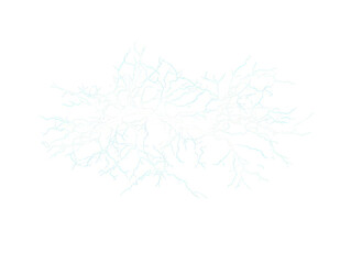 Abstract Illustration Of Vibrant Color Overlay Over White Branch On Black Background