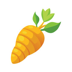 Fresh turmeric tuber vector art illustration