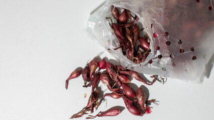 Red shallots in clear plastic bag on white background, symbolizing autumn harvest and culinary preparation, versatile cooking ingredient