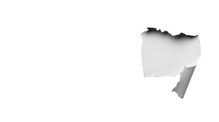 Naklejka premium Abstract Torn Paper With White Color Isolated On Black Background Illustration