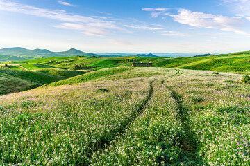 rustic road in spring meadow landscape with green grass, flowers, amazing hills and beautiful path leading to a village. Agricultural landscapw of europe.