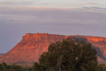 Discovering the Wonders of Kings Canyon in Australias Red Centre