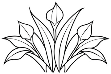 Iris Leaf Line Art Elegant Drawing for Artistic Representation 