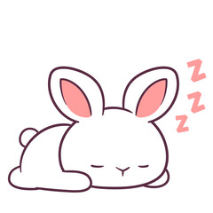 Cute and attractive bunny character cartoon