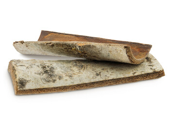 piece of aspen bark isolated on white background.