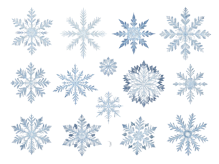 A collection of unique, intricately detailed snowflakes, each with crystalline textures, isolated on a transparent background for winter-themed designs.