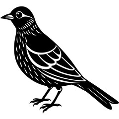 vector illustration of a bird