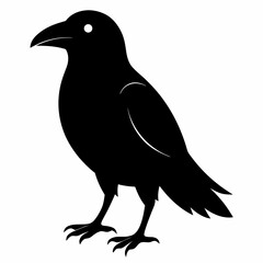 crow on a white background