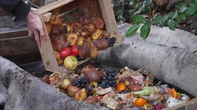 A wormery container, a bin or box, used for composting kitchen and garden waste using worms, which converts the waste into nutrient-rich compost and liquid fertilizer