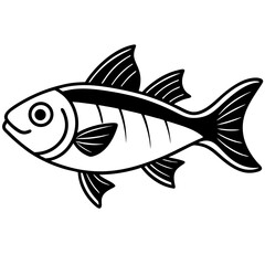 vector illustration of a fish