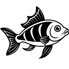 fish on a white background