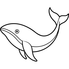 dolphin isolated on white