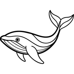 fish on a white background