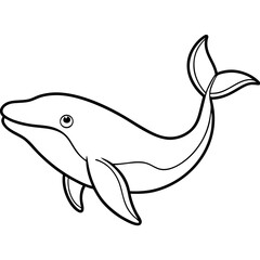 dolphin isolated on white