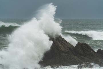 Whispers of the Wind Along Rugged Coastlines