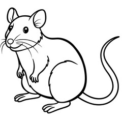 vector illustration of a squirrel