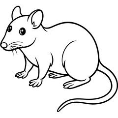vector illustration of a squirrel