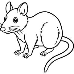 vector illustration of a squirrel