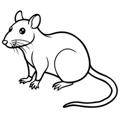 Fototapeta premium vector illustration of a squirrel