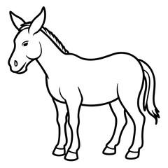 donkey isolated on white