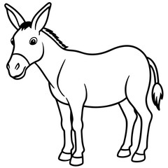 donkey vector illustration