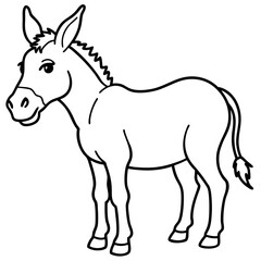 donkey isolated on white